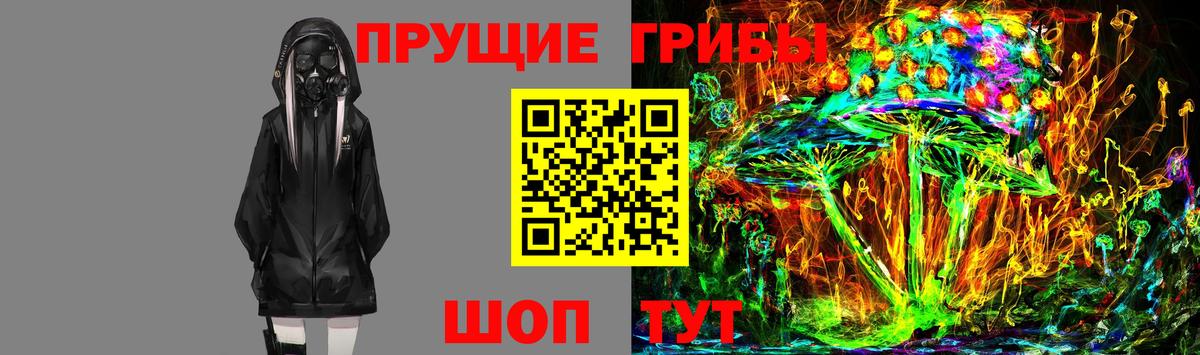 Лениногорск  Галлюциногенные грибы Psilocybe  Вход с VPN  Галлюциногенные грибы GOLDEN TEACHER 
